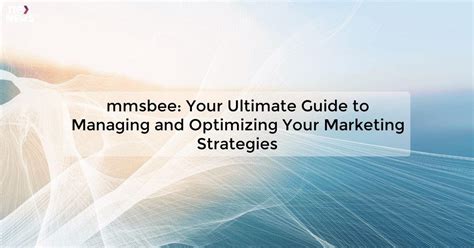 MMSBee – The Definitive Guide .